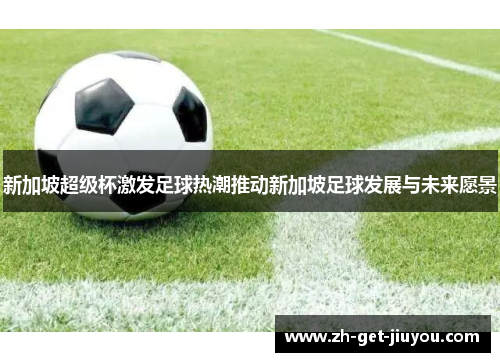 新加坡超级杯激发足球热潮推动新加坡足球发展与未来愿景 新加坡超级杯激发足球热潮推动新加坡足球发展与未来愿景